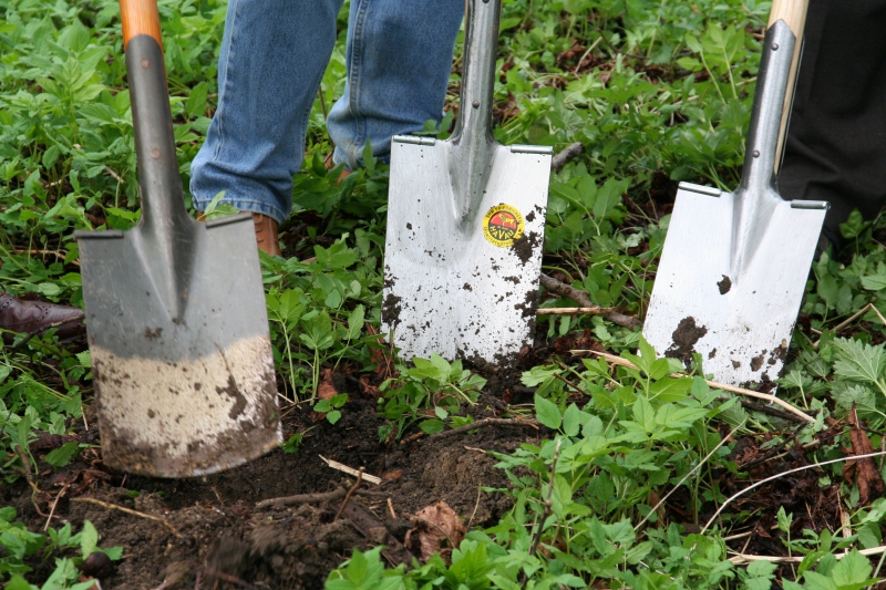 pepiniere-LA VALETTE DU VAR-min_work-lawn-flower-tool-green-backyard-1103633-pxhere.com